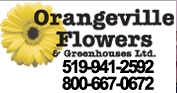 Orangeville Flowers & Greenhouses Ltd.